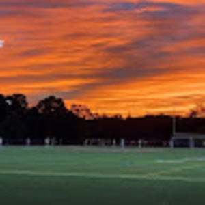 Meet your Posher, Tessa